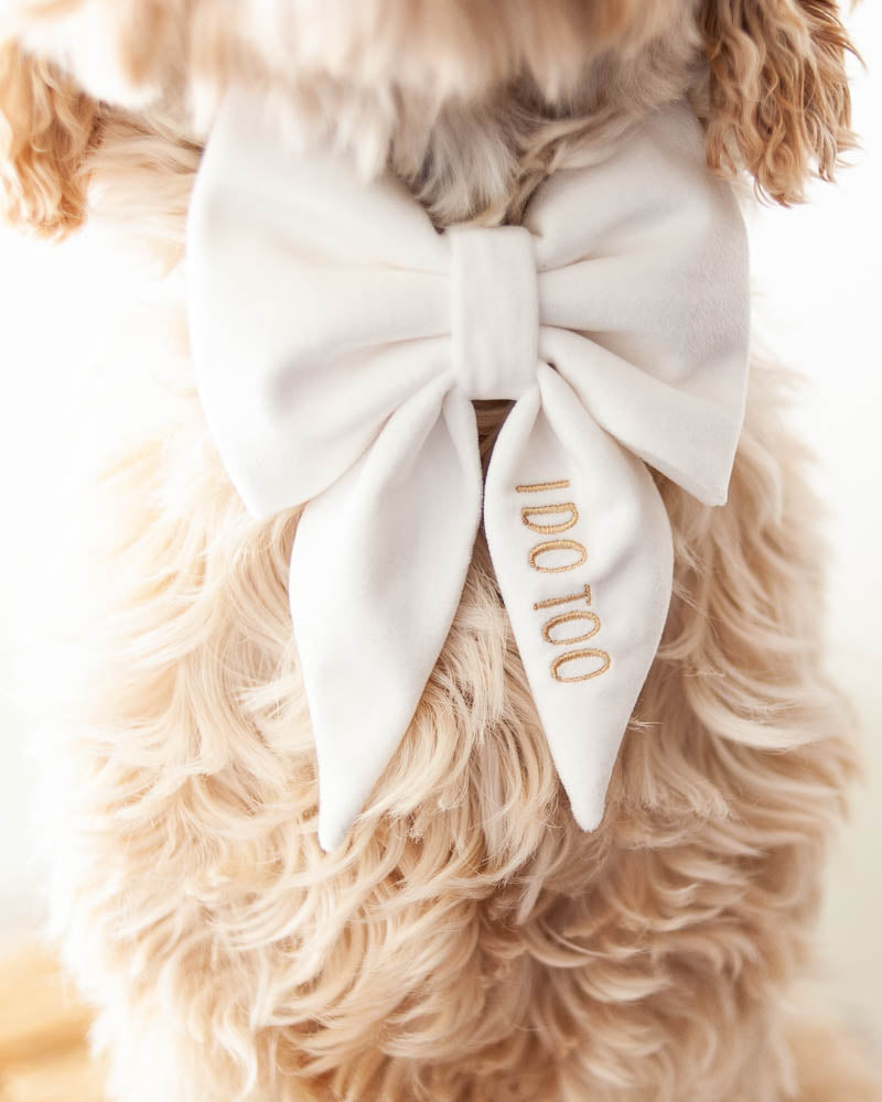 Dog Velvet Bow